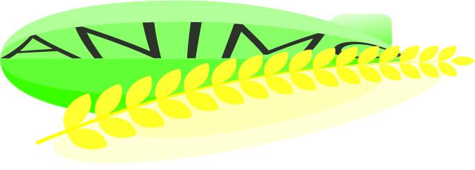 logo zeppelin logo zeppelin